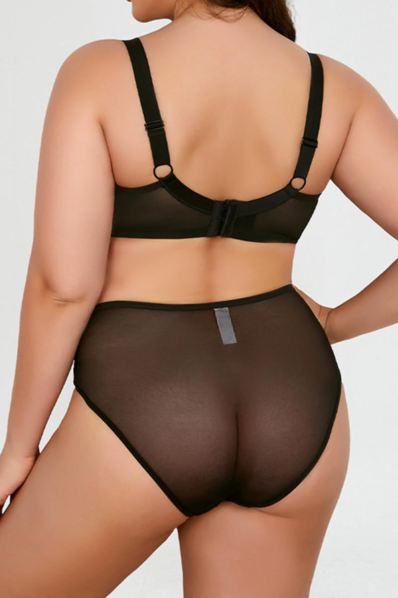 Midnight Curves Set