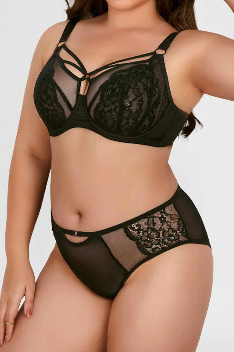 Midnight Curves Set