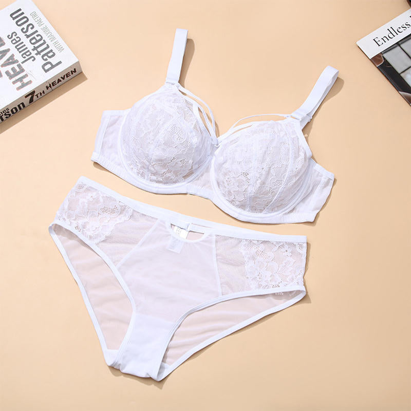 Midnight Curves Set